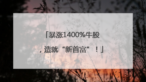 暴涨1400%牛股，造就“新首富”！