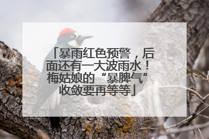 暴雨红色预警，后面还有一大波雨水！梅姑娘的“暴脾气”收敛要再等等