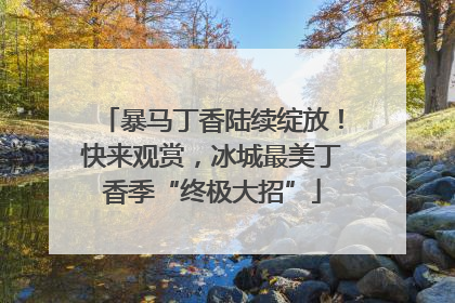 暴马丁香陆续绽放！快来观赏，冰城最美丁香季“终极大招”