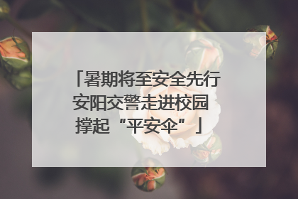 暑期将至安全先行 安阳交警走进校园撑起“平安伞”