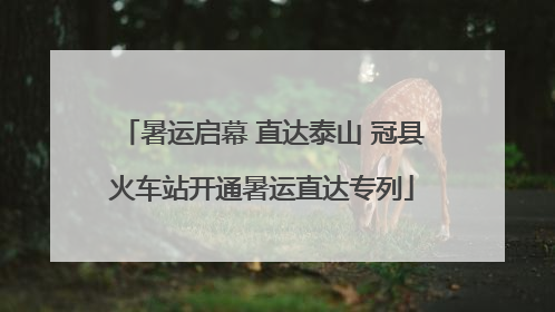 暑运启幕 直达泰山 冠县火车站开通暑运直达专列