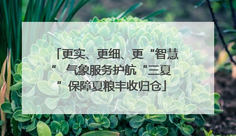 更实、更细、更“智慧” 气象服务护航“三夏”保障夏粮丰收归仓