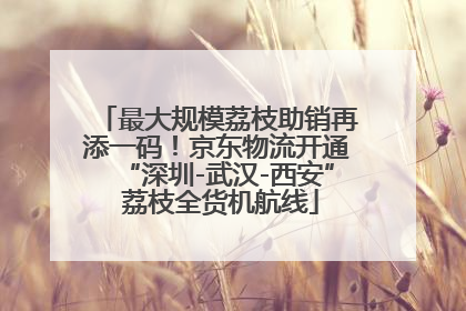 最大规模荔枝助销再添一码！京东物流开通“深圳-武汉-西安” 荔枝全货机航线