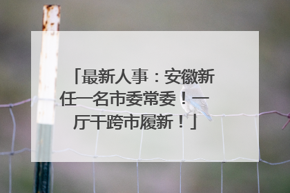 最新人事：安徽新任一名市委常委！一厅干跨市履新！
