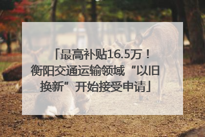 最高补贴16.5万！衡阳交通运输领域“以旧换新”开始接受申请