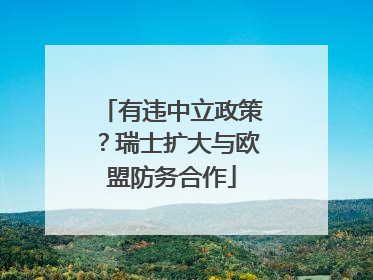 有违中立政策？瑞士扩大与欧盟防务合作