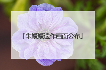 朱媛媛遗作画面公布