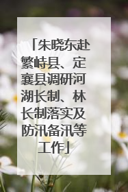朱晓东赴繁峙县、定襄县调研河湖长制、林长制落实及防汛备汛等工作