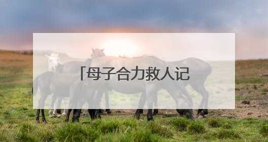 母子合力救人记（暖心故事）