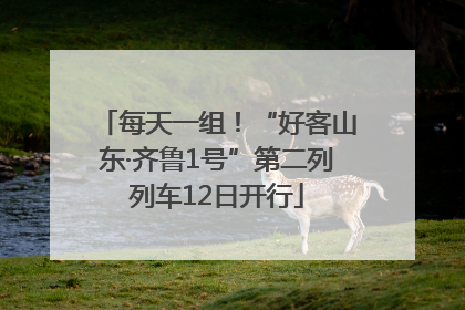 每天一组！“好客山东·齐鲁1号”第二列列车12日开行