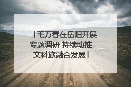 毛万春在岳阳开展专题调研 持续助推文科旅融合发展