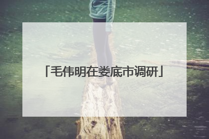 毛伟明在娄底市调研