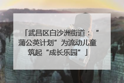 武昌区白沙洲街道：“蒲公英计划”为流动儿童筑起“成长乐园”