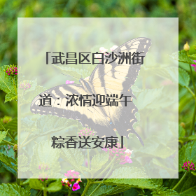 武昌区白沙洲街道：浓情迎端午 粽香送安康