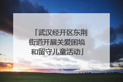 武汉经开区东荆街道开展关爱困境和留守儿童活动