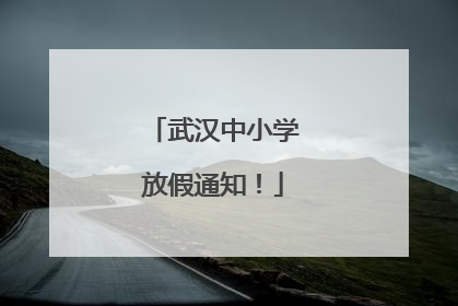 武汉中小学放假通知！