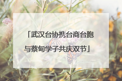 武汉台协携台商台胞与蔡甸学子共庆双节
