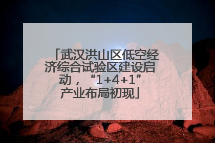 武汉洪山区低空经济综合试验区建设启动，“1+4+1”产业布局初现