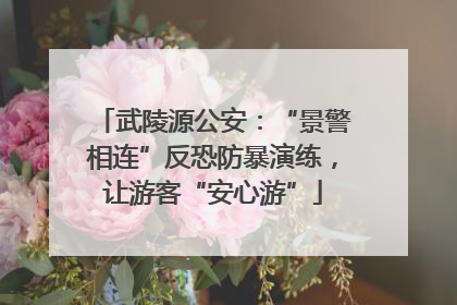 武陵源公安：“景警相连”反恐防暴演练，让游客“安心游”