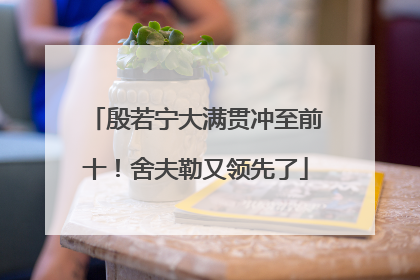 殷若宁大满贯冲至前十！舍夫勒又领先了