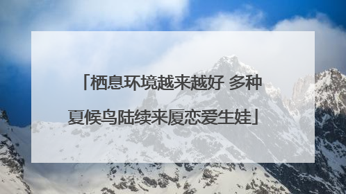栖息环境越来越好 多种夏候鸟陆续来厦恋爱生娃