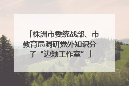 株洲市委统战部、市教育局调研党外知识分子“边颖工作室”