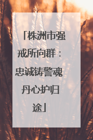 株洲市强戒所向群：忠诚铸警魂 丹心护归途