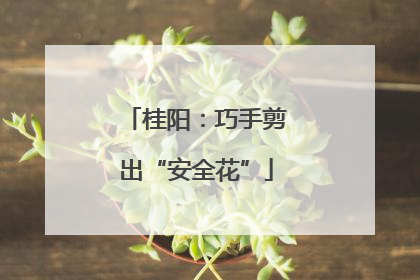 桂阳：巧手剪出“安全花”