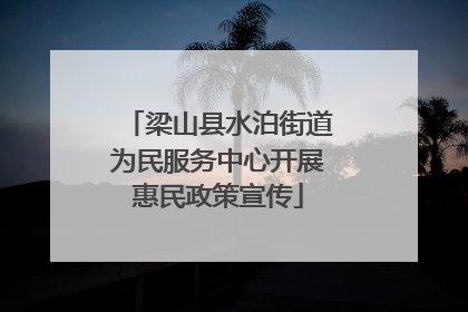 梁山县水泊街道为民服务中心开展惠民政策宣传