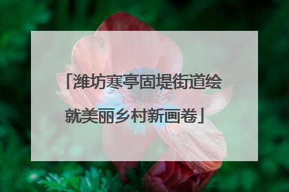 潍坊寒亭固堤街道绘就美丽乡村新画卷