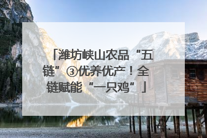 潍坊峡山农品“五链”③优养优产！全链赋能“一只鸡”