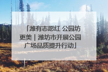 潍有志愿红 公园坊更美｜潍坊市开展公园广场品质提升行动