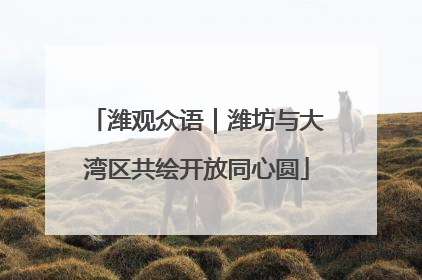 潍观众语｜潍坊与大湾区共绘开放同心圆