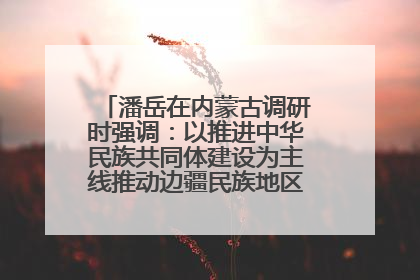 潘岳在内蒙古调研时强调：以推进中华民族共同体建设为主线推动边疆民族地区高质量发展