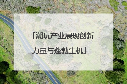 潮玩产业展现创新力量与蓬勃生机