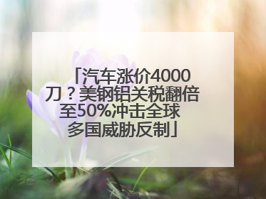 汽车涨价4000刀？美钢铝关税翻倍至50%冲击全球 多国威胁反制