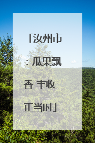 汝州市：瓜果飘香 丰收正当时