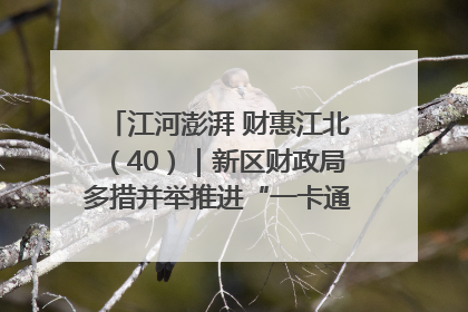 江河澎湃 财惠江北（40）｜新区财政局多措并举推进“一卡通”管理 保障惠民惠农补贴精准高效发放