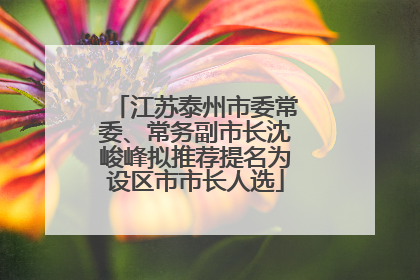 江苏泰州市委常委、常务副市长沈峻峰拟推荐提名为设区市市长人选