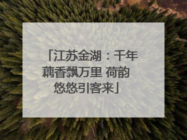 江苏金湖：千年藕香飘万里 荷韵悠悠引客来