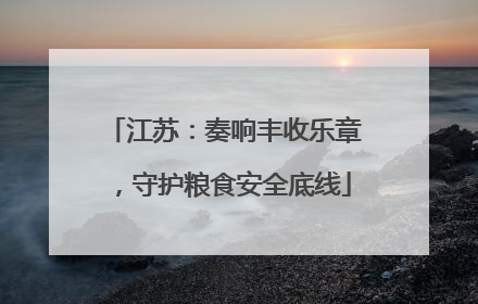 江苏：奏响丰收乐章，守护粮食安全底线