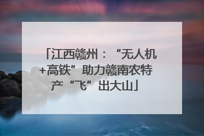 江西赣州：“无人机+高铁”助力赣南农特产“飞”出大山