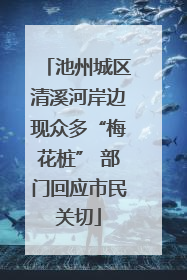 池州城区清溪河岸边现众多“梅花桩” 部门回应市民关切
