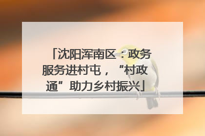 沈阳浑南区：政务服务进村屯，“村政通”助力乡村振兴