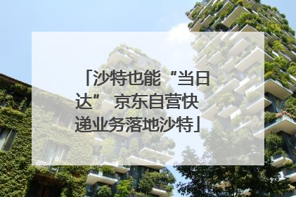 沙特也能“当日达” 京东自营快递业务落地沙特