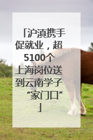 沪滇携手促就业，超5100个上海岗位送到云南学子“家门口”