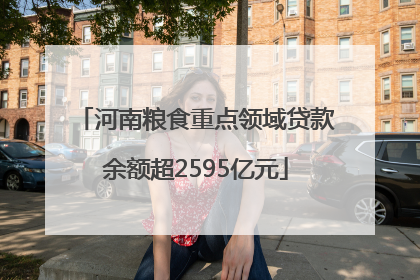 河南粮食重点领域贷款余额超2595亿元