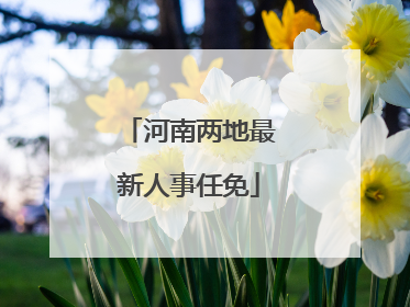 河南两地最新人事任免