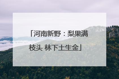 河南新野：梨果满枝头 林下土生金