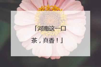 河南这一口茶，真香！